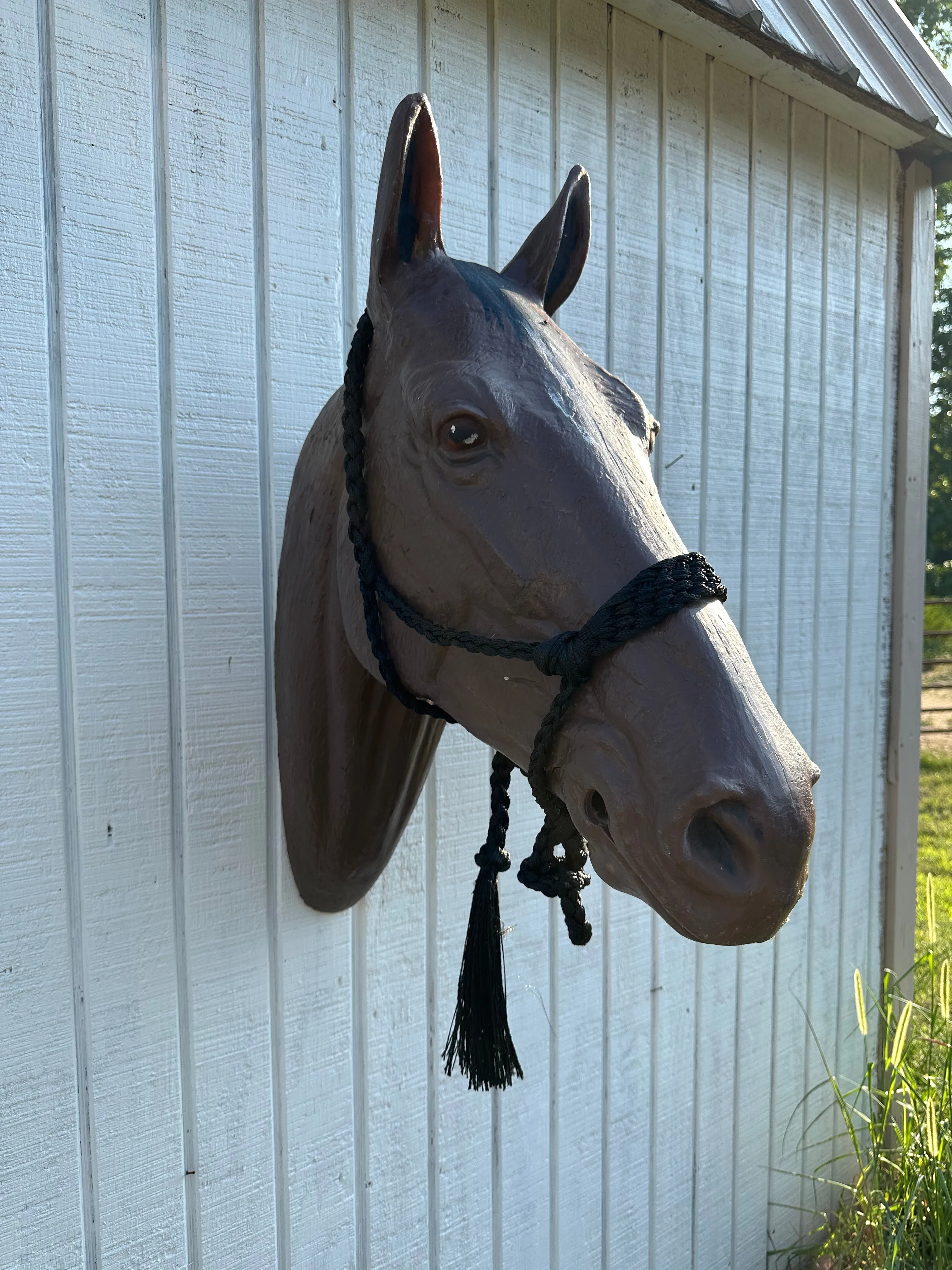 Black Braided mule tape horse halter with flat noseband