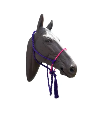 Lariat mule tape horse halter with lead